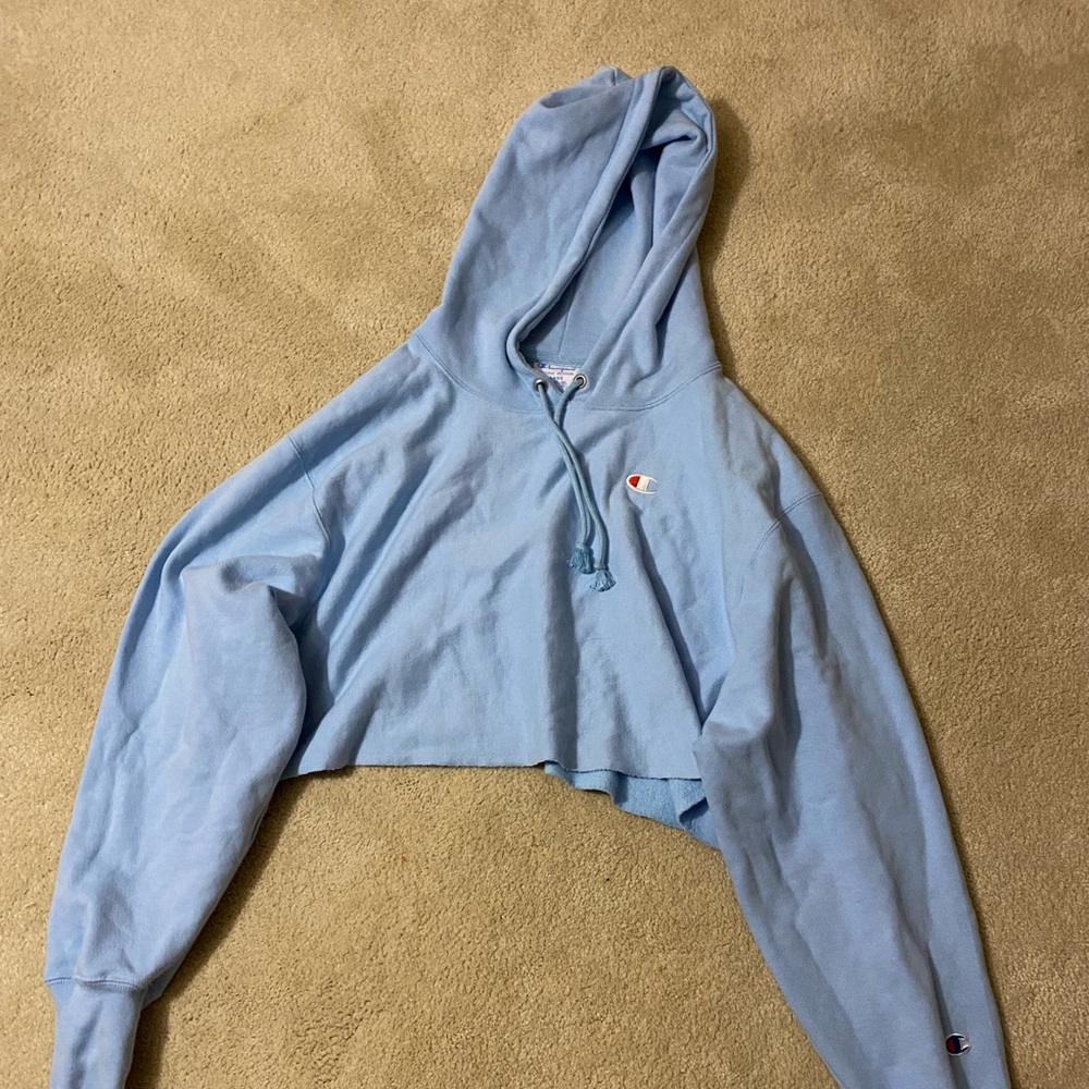 NWOT Cropped champion hoodie